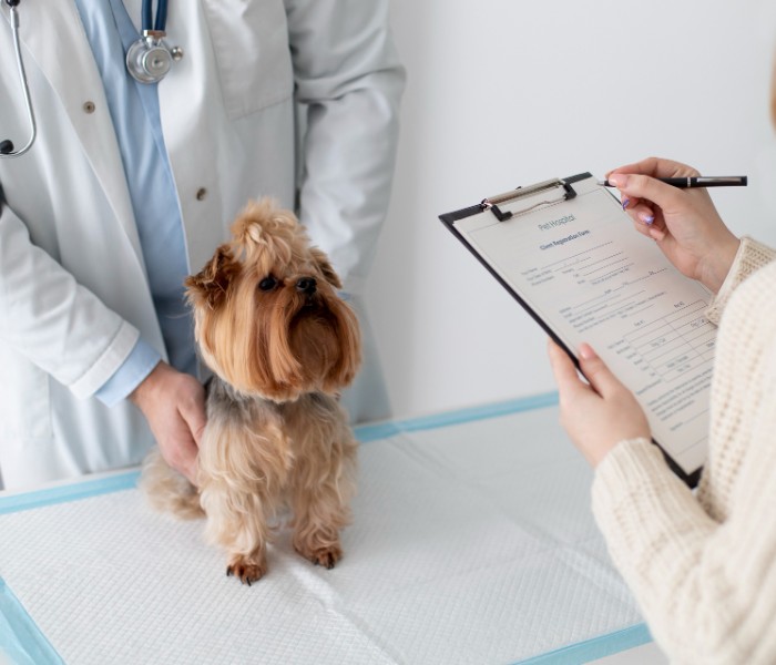 A person holding a clipboard with a dog in front of a doctor